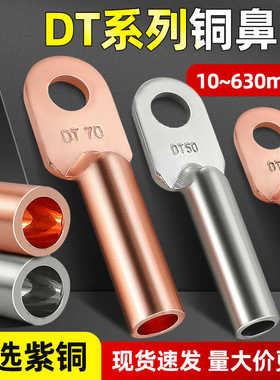 DT铜鼻子铜线耳接线端子电线铜线鼻子镀锡堵油铜接头25/35/50平方