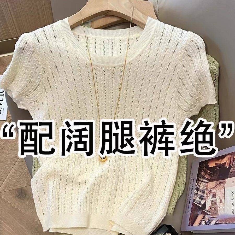漂亮麻花镂空韩版针织衫短袖女春夏高级感打底衫圆领T恤薄款0519d