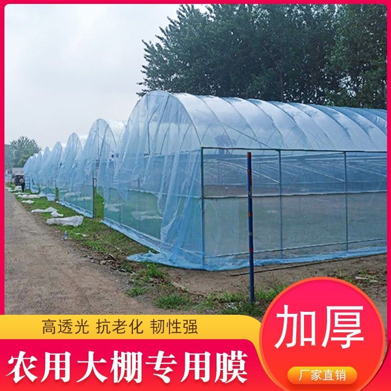 长寿大棚膜棚膜蓝白无滴膜养殖黑白膜
