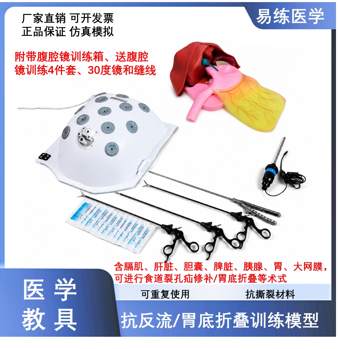腹腔镜抗反流模型胃底折叠手术训练模型 膈肌肝胆胰脾胃模拟模型