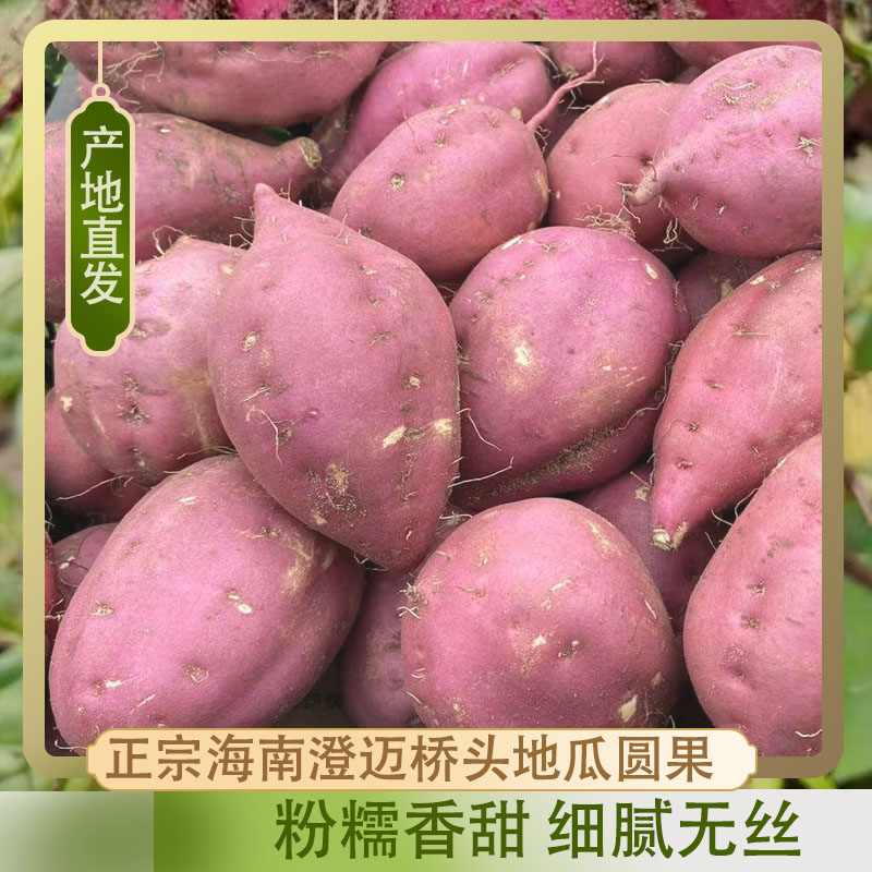 【2025新圆果上市】海南桥头地瓜
