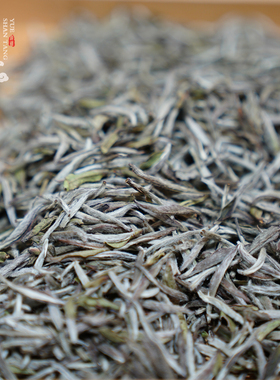 阅山堂 | 2023年磻溪大洋山炭焙白毫银针 醇和甜柔 带奶香