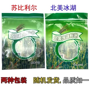 苏比利尔3号野米菰米北美冰湖松针米 加拿大进口黑米杂粮煮粥454g