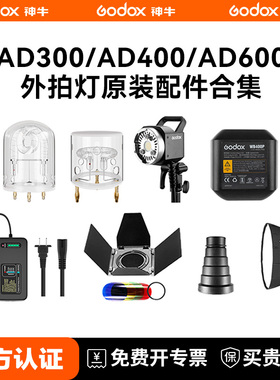 神牛AD300/400/600B/BM/PRO外拍灯附件 WB87 WB26 ADH600锂电池灯管电源适配器 原装充电器CB-09便携包收纳箱