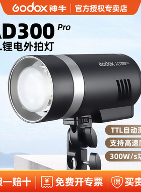 Godox 神牛AD300pro外拍闪光灯口袋灯补光灯摄影灯便携300W户外单
