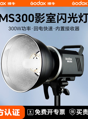 Godox 神牛MS300 MS200W专业人像静物摄影棚闪光灯200W/300W摄影灯影楼证件照拍摄补光灯柔光灯保荣口