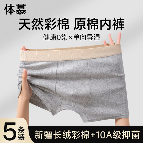 特护级彩棉原棉10A抑菌裆内裤