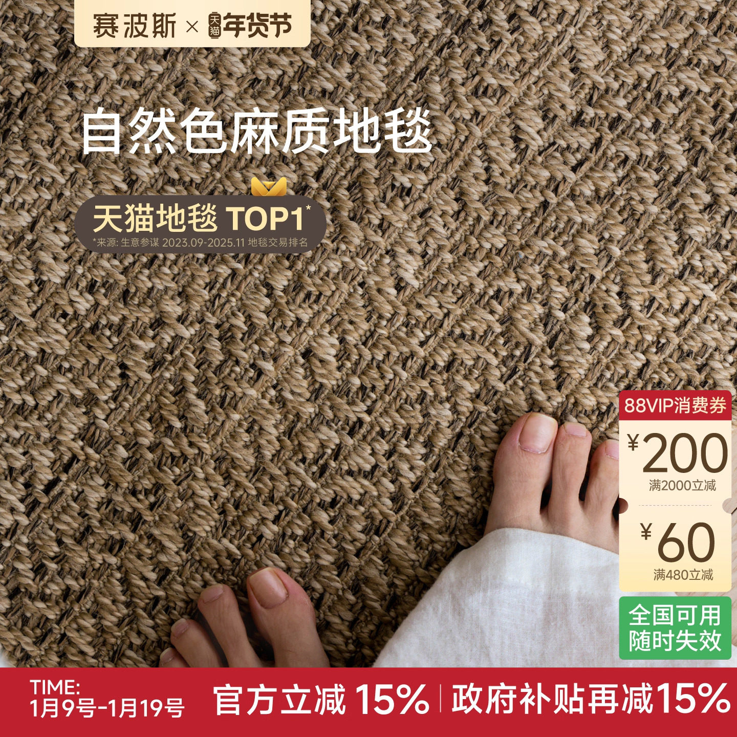 赛波斯土耳其进口平织地毯耐磨耐脏轻奢高级感原木中古风客厅卧室