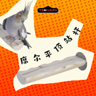 席尔平顶站杆-TROPIBIRD鹦鹉玩具品牌-(鹦鹉站台架鹦鹉云梯)