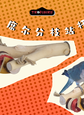 席尔分枝站杆-TROPIBIRD鹦鹉玩具品牌-（鹦鹉攀爬梯鸟用藤球）