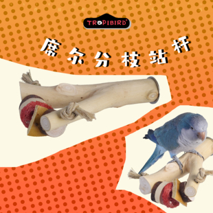 席尔分枝站杆-TROPIBIRD鹦鹉玩具品牌-(鹦鹉攀爬梯鸟用藤球)
