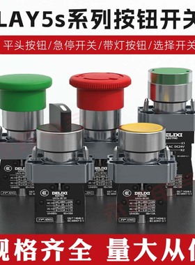德力西金属头点动按钮开关LAY5s-BA31二三档旋转自锁NP2-BD21急停
