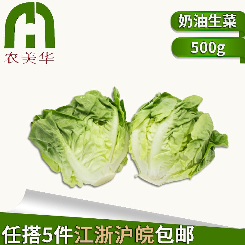【农美啊华】新鲜蔬菜青菜 奶油生菜 波斯顿生菜 西餐沙拉菜 500g|ruв категории водной мясо/свежие фрукты и овощи/еда, свежие овощи/овощной продукции, чистые овощи - от Buy2taobao.com для оказания профессиональной услуги покупки агента Taobao