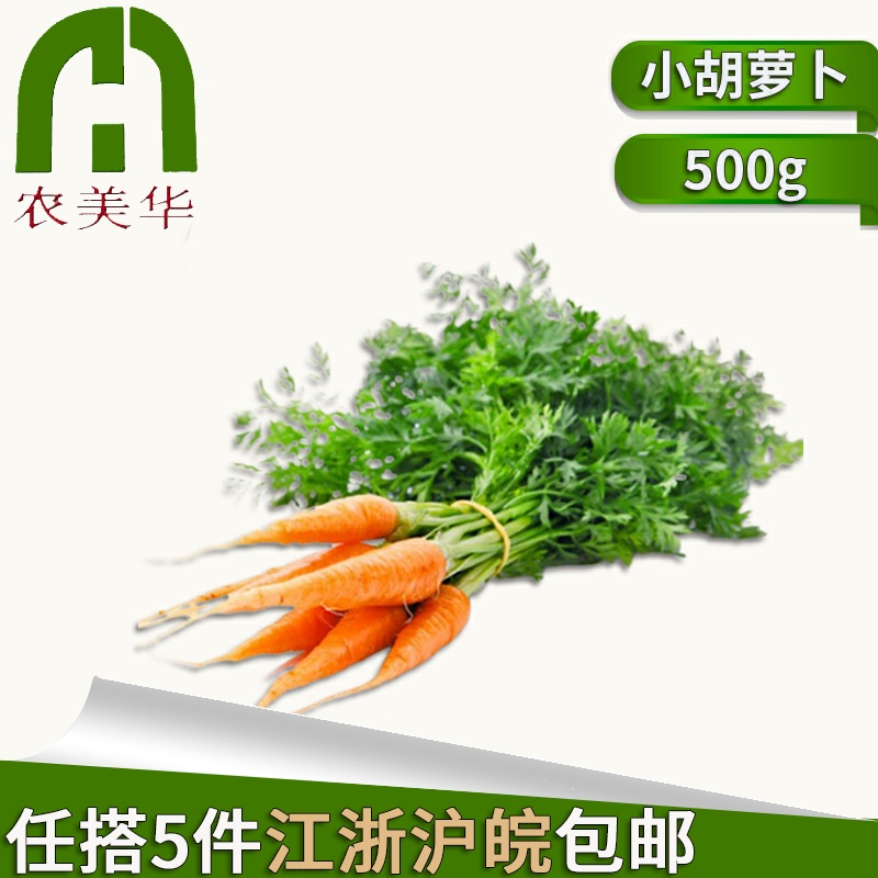 【农美啊华】新鲜带叶小胡萝卜迷你手指萝卜西餐蔬菜新鲜蔬果500g