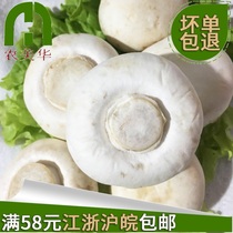 Mushroom fresh edible mushroom fresh white mushroom mushroom bisporus mushroom fresh vegetable hot pot ingredients 500g