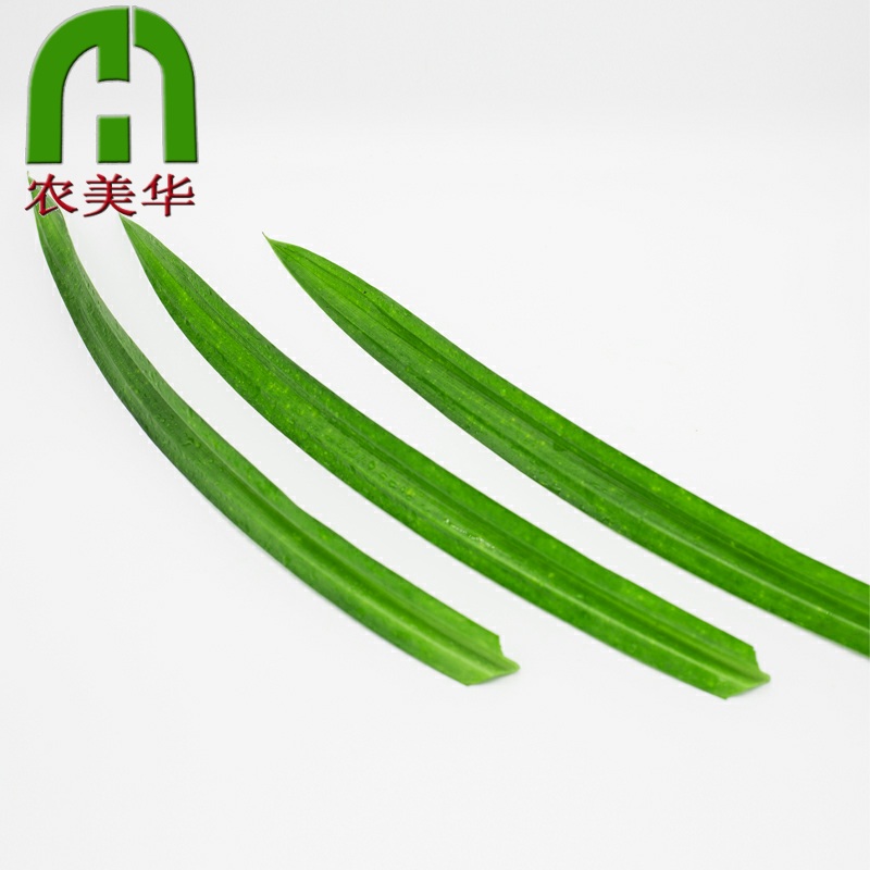 ÐÂÏʰßìµÒ¶ ÏãÀ¼Ò¶ °ßÀ¼Ò¶ µ÷Áϸâµã ÐÂÏÊÏãÁÏ 250g