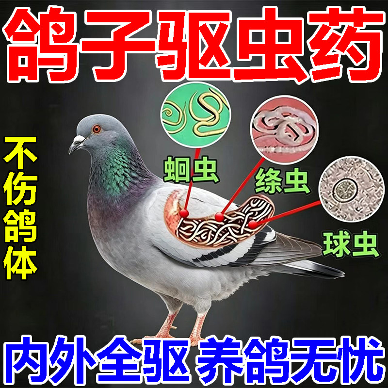 鸽子驱虫药鸽虫清水剂杀虫赛鸽信鸽肉鸽体内外驱虫打虫特效专用药