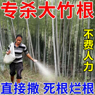 强效灭竹子的药竹根连根烂除竹子