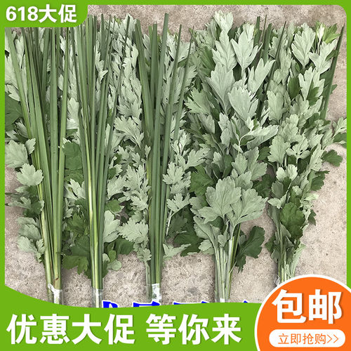 新鲜菖蒲端午艾蒿挂门窗户