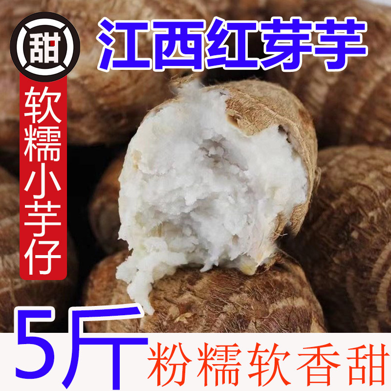 芋头新鲜小芋头江西牛奶小毛芋艿子小香芋头5粉糯芋头芋圆