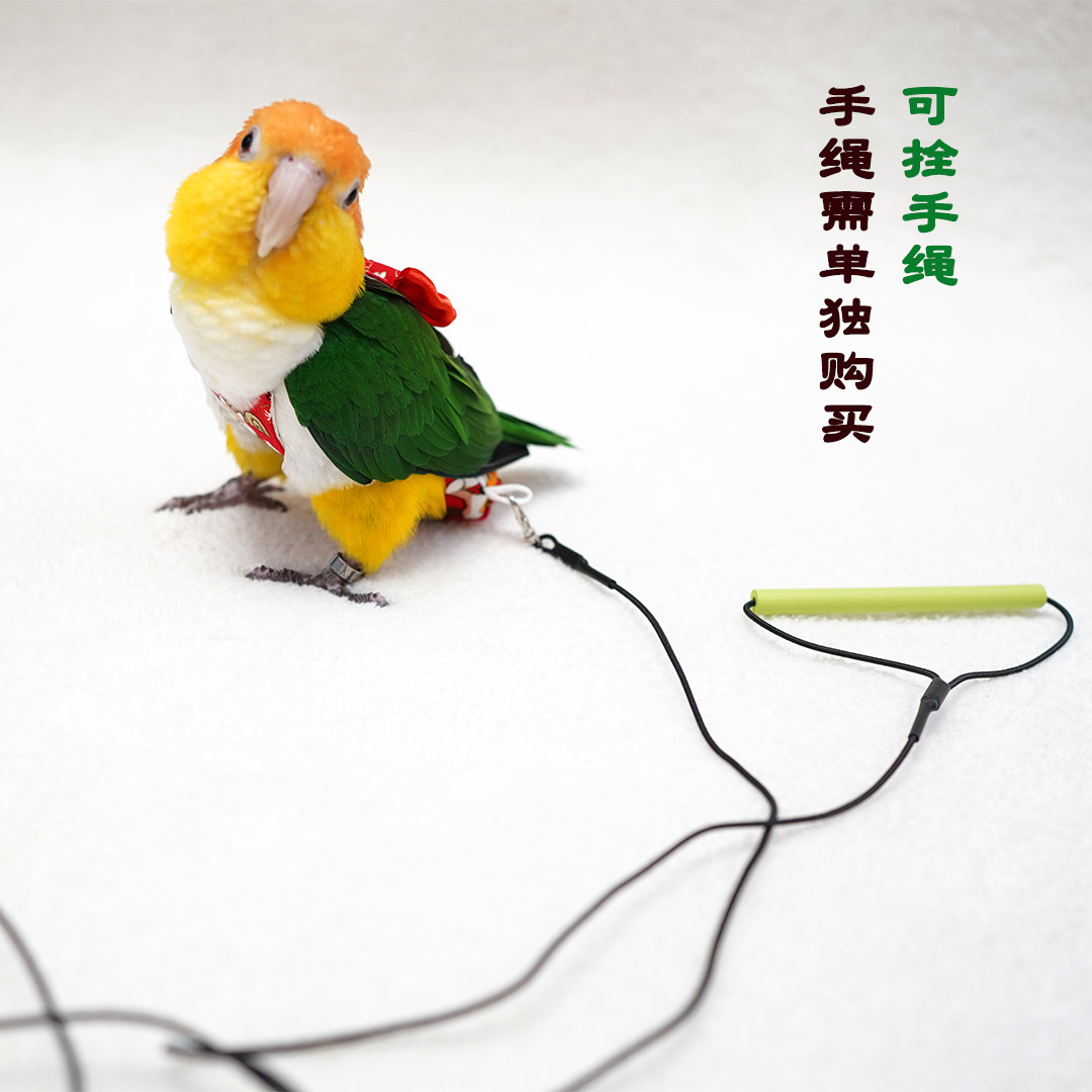 2023新年烫金款鹦鹉鸟衣服屎兜立体大容量可洗尿不湿纸尿裤包邮
