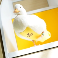 Пятое поколение Meituan