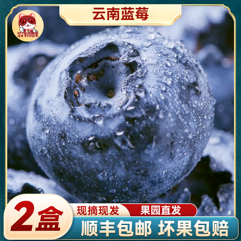 【2盒】 云南蓝莓鲜果特大礼盒高山新鲜水果整箱礼盒应季5斤蓝梅
