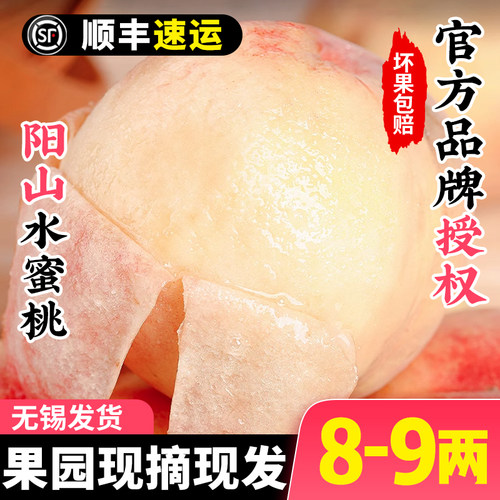 【8-9两】正宗无锡阳山水蜜桃子新鲜水果应当季整箱时令特大白凤