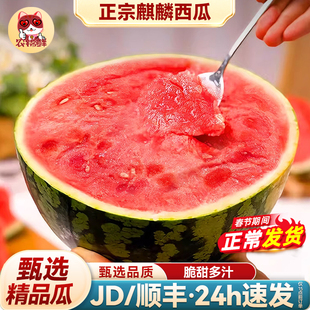 云南8424麒麟西瓜新鲜水果当季无籽特大薄皮冰糖美都甜脆整箱包邮