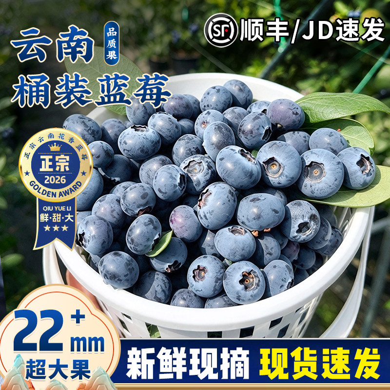 【顺丰速发】花香蓝莓