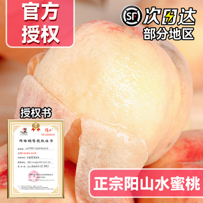 官方授权阳山水蜜桃丨顺丰空运