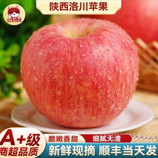 顺丰正宗陕西洛川苹果10斤水果新鲜应当季整箱现摘冰糖心红富士