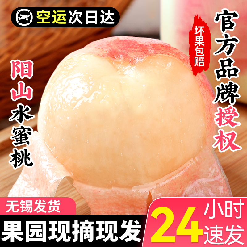 正宗无锡阳山水蜜桃现摘现发水果新鲜白凤湖景礼盒水蜜桃旗舰店