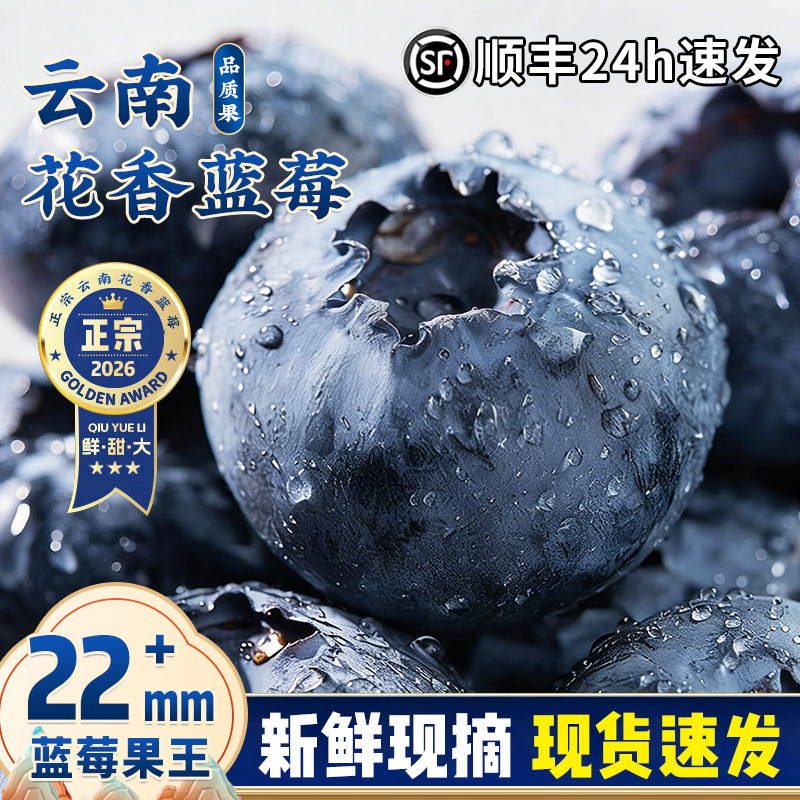 云南花香蓝莓鲜果顺丰速发