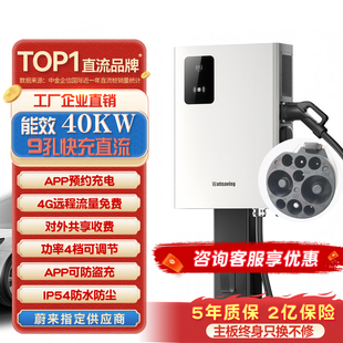 40kw直流汽车充电桩九孔快充适用于埃安蔚来红旗极越 能效7