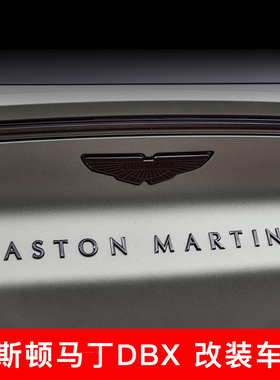 阿斯顿马丁DBX DB11 ASTON MARTIN英文字母车标Vantage Rapide标