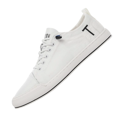 欧洲站男鞋2025夏季新款透气冰丝布帆布鞋男薄款一脚蹬小白鞋男潮