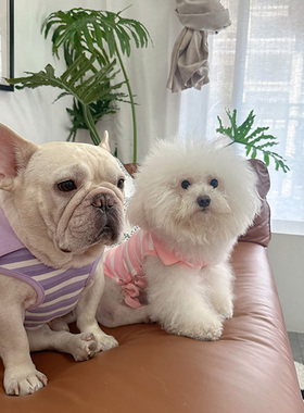 狗狗衣服2024夏季polo衫法斗巴哥泰迪比熊西高地雪纳瑞小型犬背心