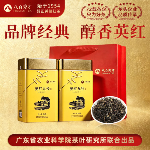 八百秀才新茶英德英红九号红茶叶