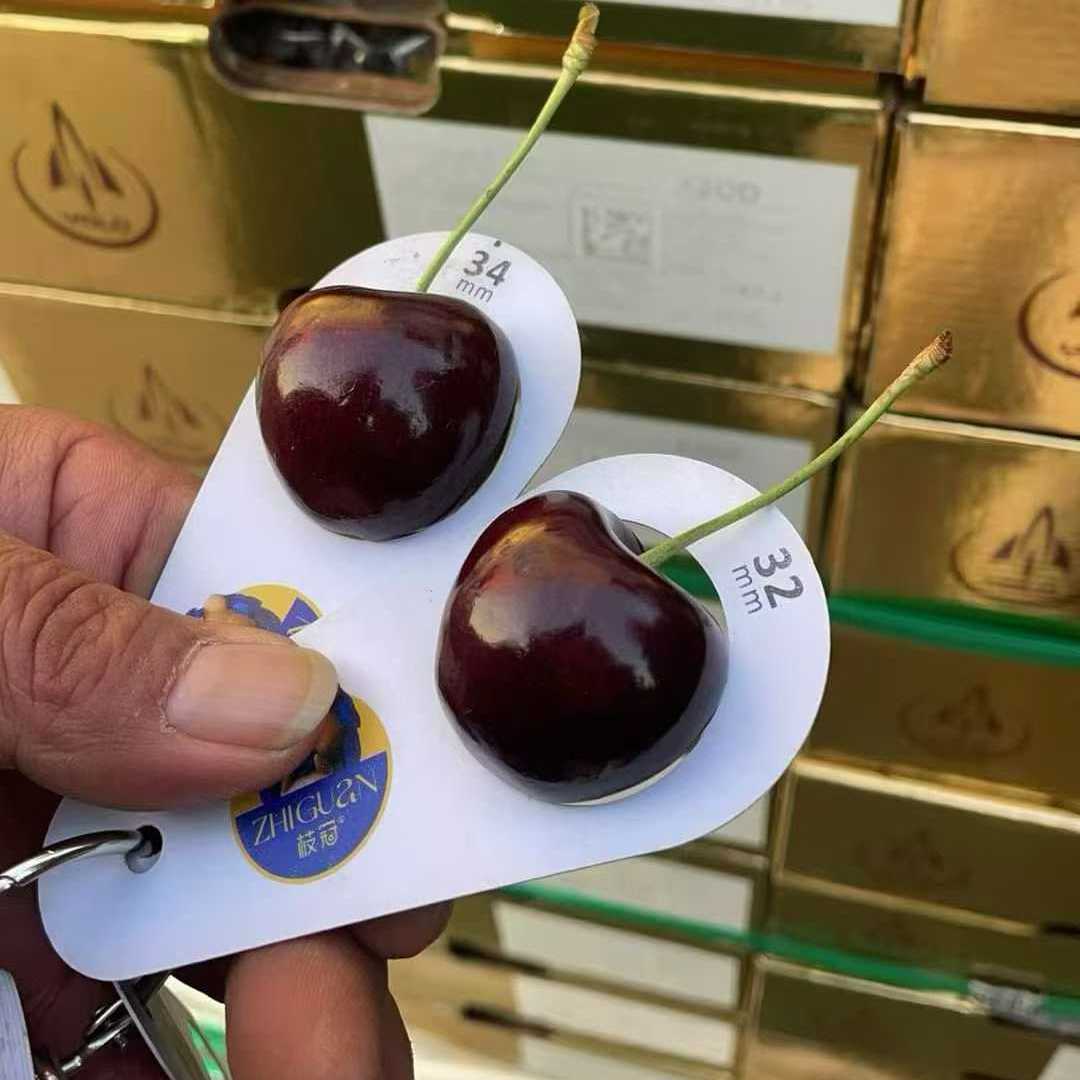 智利空运进口科迪亚车厘子礼盒