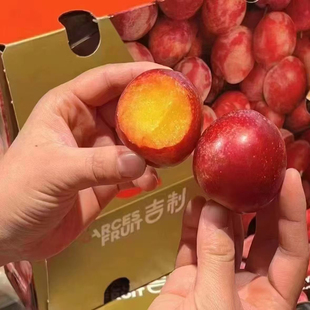 5J樱桃李空运糖果李4j整箱智利原箱进口新鲜孕妇水果樱桃当季