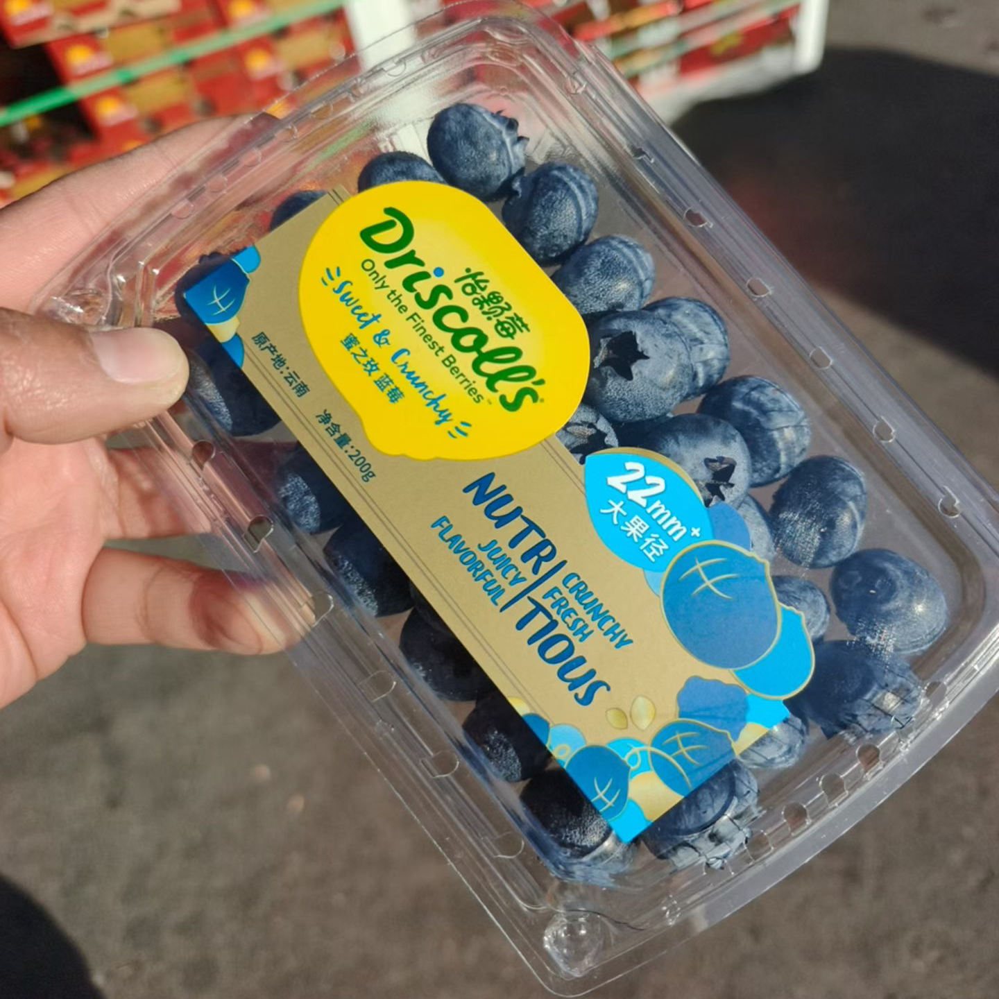 怡颗莓秘鲁蓝莓20+限量版