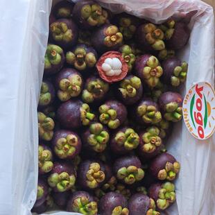 印尼山竹5斤大果新鲜山竹5A大果应季进口水果热带6A孕妇水果礼盒