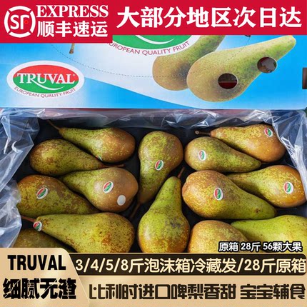新鲜比利时啤梨翠冠梨当季水果宝宝辅食香甜多汁梨子皮薄多汁大果