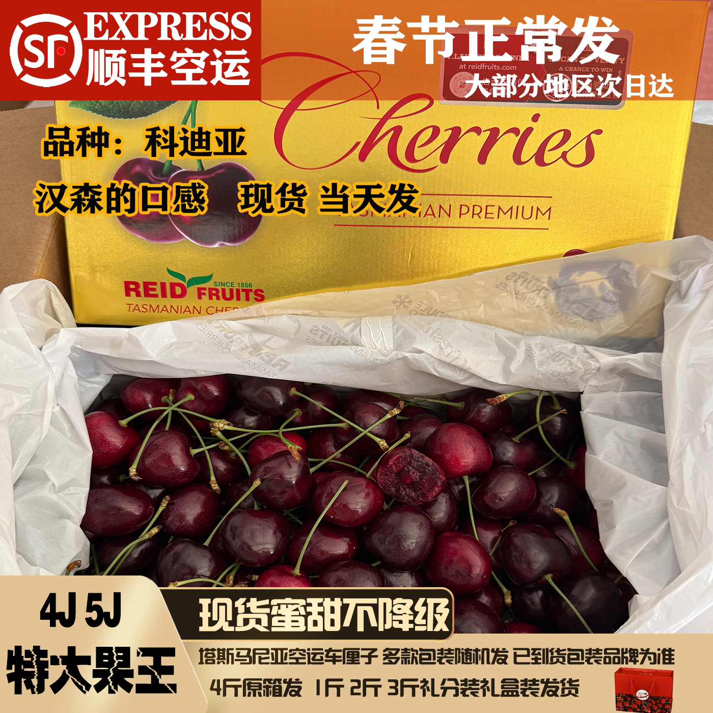 空运澳洲车厘子塔斯马尼亚车厘子科迪亚金袋鼠reid礼盒装水果顺丰