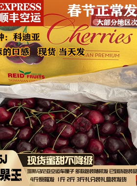 空运澳洲车厘子塔斯马尼亚车厘子科迪亚金袋鼠reid礼盒装水果顺丰