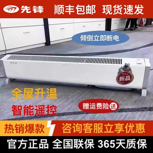 22室内电暖器对流地暖 HD953RC 先锋踢脚线取暖器机械版 DF1953
