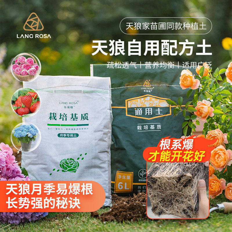 天狼月季栽培基质营养土图片