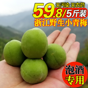 浙江绍兴青梅鲜果现摘泡酒酸梅子新鲜孕妇水果5斤嵊州野生小青梅