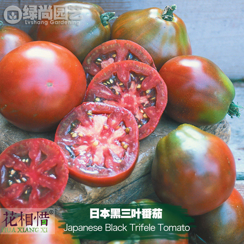 日本黑三叶番茄种子进口小西红柿四季阳台盆栽蔬菜种籽瓜果番茄苗,鲜花速递/花卉仿真/绿植园艺,家庭园艺种子,淘宝优惠券,粉丝福利购,淘宝优惠卷